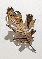 Against the Wind, 2025