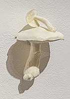 Soft Landing 5, 2025