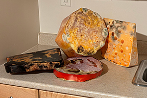 Eternity Sandwich, 2024